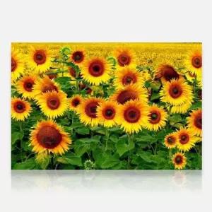 보석십자수 5D 대형 재물바라기(90x60cm) 보석십자수