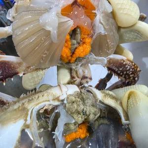 실속형 연평도 암꽃게 5미내외 알배기 제철 봄 활 꽃게 추천