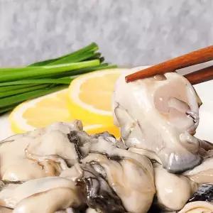 덕이네 굴 각굴 석화 통영 깐굴 생굴무침 생굴 1KG 982647