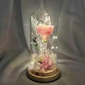( )프리저브드 카네이션 무드등 소 핑크 인테리어 조명 어버이날 스승의날 감사 선물