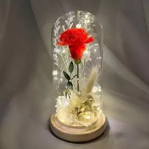 ( )프리저브드 카네이션 무드등 소 레드 인테리어 조명 어버이날 스승의날 감사 선물