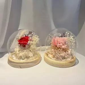 원형 프리저브드 카네이션 무드등 인테리어 조명 어버이날 스승의날 부모님 선생님 선물 인테리어 소품