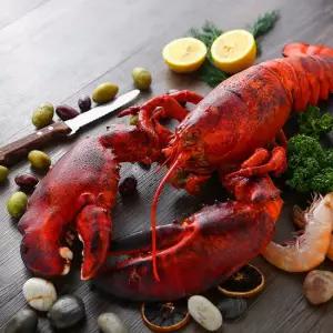 바이킹마켓 점보(900~1200g) 자숙 랍스터 3EA(개별포장)