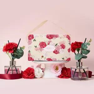 코코도르 카네이션 디퓨저 200ml 2개입