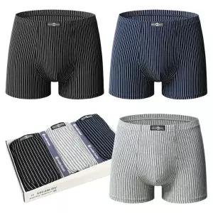 아날도바시니 스트라이프 면 스판 남자팬티 드로즈 3종세트