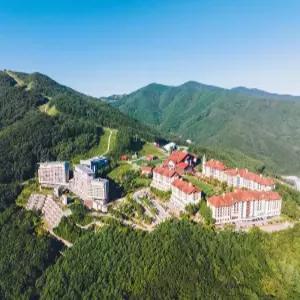 [강원] 하이원리조트 힐콘도(강원, 정선)