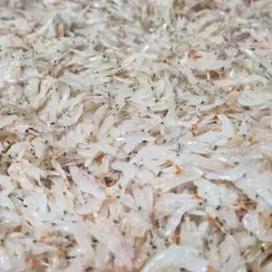 국내산 냉동 동백하 생새우 1kg