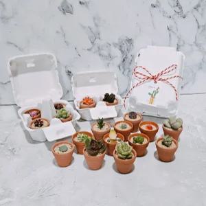 초미니다육 귀여운 계란판세트 가정의달 집들이선물