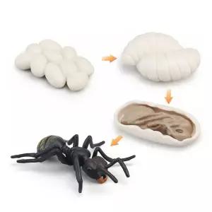 [오꿈]곤충피규어 (개미) 성장과정