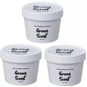 그린센트 냄새제거 에브리데이 고체 방향 향기 탈취제 무향 100g 3개