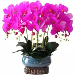 호접란 서양란 인테리어 개업선물 사무실 조화 화분 장식