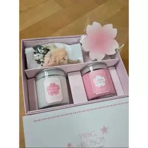 [봄 한정 수량] 피에브 에어워셔 실내 고체 탈취제 벚꽃 에디션 선물 세트