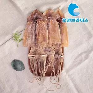 고소한 건오징어 1.2kg/20마리