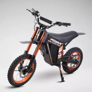 페가수스 2000W 장거리 전동 스쿠터 전기 자전거 바이크