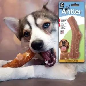 [반려] 치석 스틱 치킨치즈 츄잉 1P 장난감 우드 강아지 L