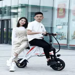 더바구니 전기자전거 전동자전거 사륜전기자전거