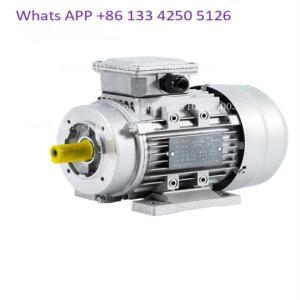 YS 삼상 알루미늄 쉘 모터 국가 표준 순수 구리 2800 rpm 0.75KW-2/4 B14