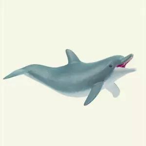 장난치는 돌고래 모형완구 파포 해양동물 피규어 KW5B2F21