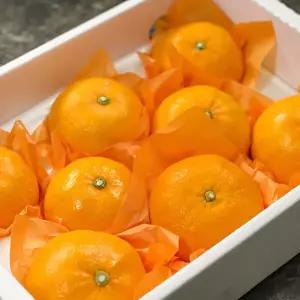 당도높은 제주 한라봉 천혜향 레드향 황금향 감귤 가정용 선물세트 3kg