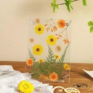 드라이플라워 보관 액자 인테리어 말린꽃 꽃말리기 아크릴액자 인테리어액자 포토테이블액자