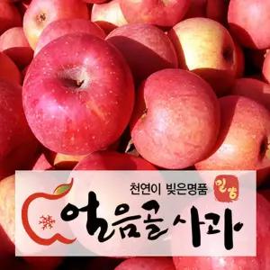 사과를 통째로 착즙한 밀양 얼음골 사과즙 110ml X 50포 1박스 무료배송