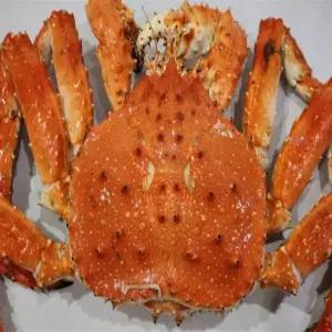프리미엄 러시아 블루 킹크랩 자숙 대게 속살 가득 수율 70~80% 3kg, 1개