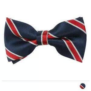 MZ_네이비 스트라이프 보타이