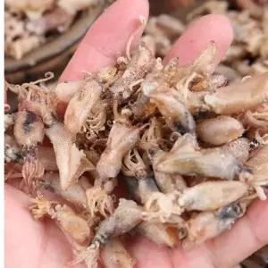 마른 꼴뚜기 1kg 건꼴뚜기 말린 건어물 건해산물