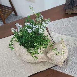 테라원 빈티지 아쿠아 애니멀 동물 토분 고양이화분 인테리어 거실 개업축하 식물키우기 홈가드닝 가정용