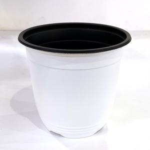 플라스틱화분 이색포트(흰색) 화분 비닐포트 모종 분갈이 분갈이흙