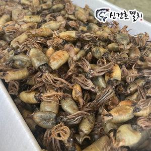 국산 햇 볶음/안주용 먹꼴뚜기 500g 1kg / 술안주 간식 반찬 건 마른 건조 말린 국내산 먹물 꼴뚜기 건어물