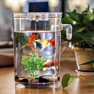 미니 어항 세트 led 조명 수족관 자동 환수 수조 물갈이 사이펀 물고기 금붕어 키우기 원형