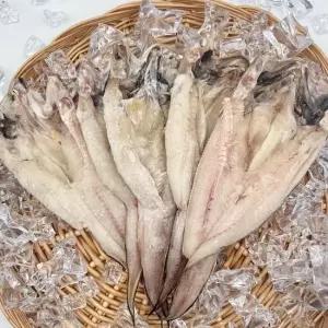 동해안 반건조 나막스 붉은메기 소형 5미 550g