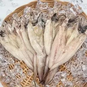 동해안 반건조 나막스 붉은메기 소형 5미 550g