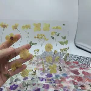 말린꽃 노트북 투명 다이어리 24장 꾸미기 폰꾸 씰 스티커 다꾸 방수 PET M50410 기획상품 잇템 압화