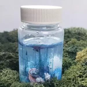 5인세트 금속염 3종 위로자라는 규산염 결정 나무 화학 정원 만들기 실험 키트 삼투압 현상 학습 준비물 과