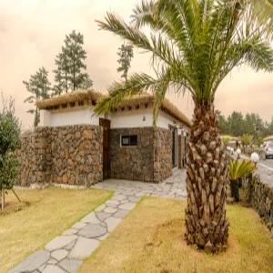 [제주 펜션] 제주 스테이현 (이호테우,하귀,애월,한림,협재)