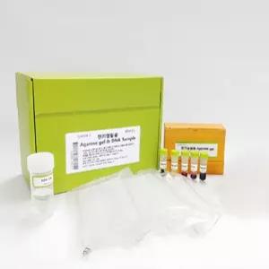 생물학 연구실 유전자 분석 아가로스겔 전기영동 재료 구성 고등 교육용 탐구 학습 도구