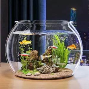 인테리어 유리화병 스탠드 투명 수경재배 거실 볼 화병 용기 재배 테라리움 꽃 화분 장식품