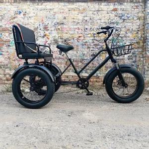 성인용 세발 자전거 어른용 장보기 삼발이 인력거 할아버지 짐칸 할머니 중년 노인 어르신