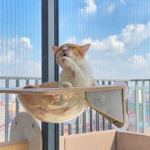 창문 캣타워 부착형 반려묘 구경 길이 모넬로 5KG 캣선반 GO24008 흡착형 않음 DS X2