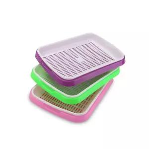 새싹키우기 재배기 새싹 새싹재배기 새싹재배기 새싹키우기 채소키우기