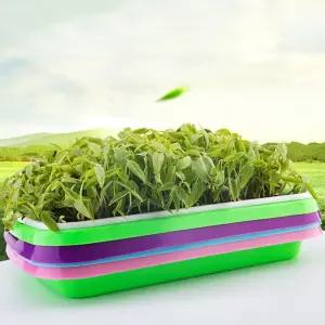 재배기 새싹키우기 새싹 새싹재배기 촘촘 새싹재배기 새싹키우기