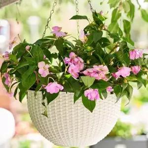 [콩심팥심]행잉 플랜터 2p 펜던트 화분 걸이식 바구니 식물 홀더 바스켓
