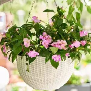 행잉 플랜터 2p 펜던트 화분 걸이식 바구니 식물 홀더 바스켓