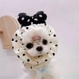 [콩심팥심]긴털 반려동물 머리밴드 강아지 헤어밴드 머리띠 모자