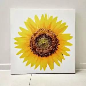 돈 들어오는 해바라기 큰꽃송이 액자 해바라기그림 해바라기사진 해바라기액자 인테리어액자