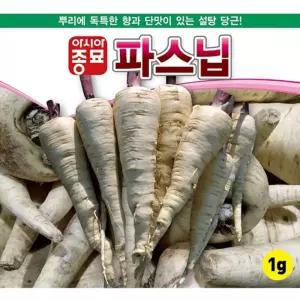 설탕당근 파스닙 씨앗 단맛나는 뿌리 종자