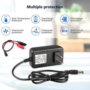 밀폐형 납산 (SLA) 배터리 충전기, 단락 보호 자동 배터리 충전기, 12V, 1000mA