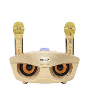 휴대용 노래방기계 마이크 반주기 이동형 노래방 가정용